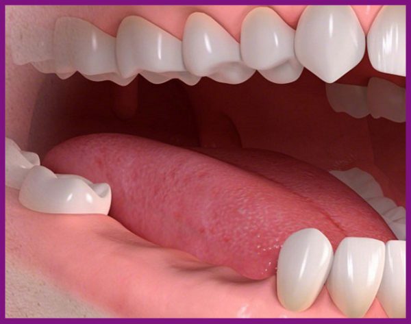 răng hàm dưới đóng vai trò quan trong trong việc nghiền nát thức ăn