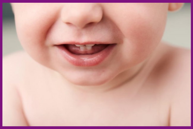 đến khoảng 2 tuổi rưỡi bé sẽ kết thúc quá trình mọc răng với 20 chiếc răng sữa hoàn thiện