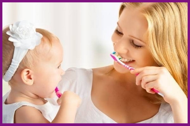 bên cạnh chỉ nha khoa, hãy dạy trẻ đánh răng đều đặn hàng ngày