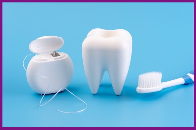 nên kết hợp dùng chỉ nha khoa với bàn chải đánh răng để giúp răng được sạch sẽ hơn