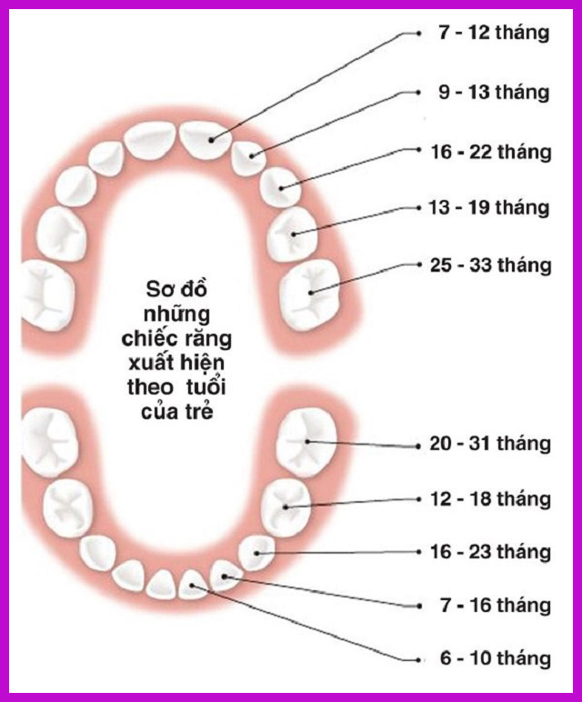mọc răng ở trẻ 1 tuổi có tốt không