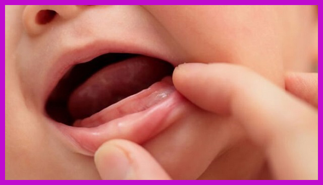 quy trình mọc răng của bé như thế nào